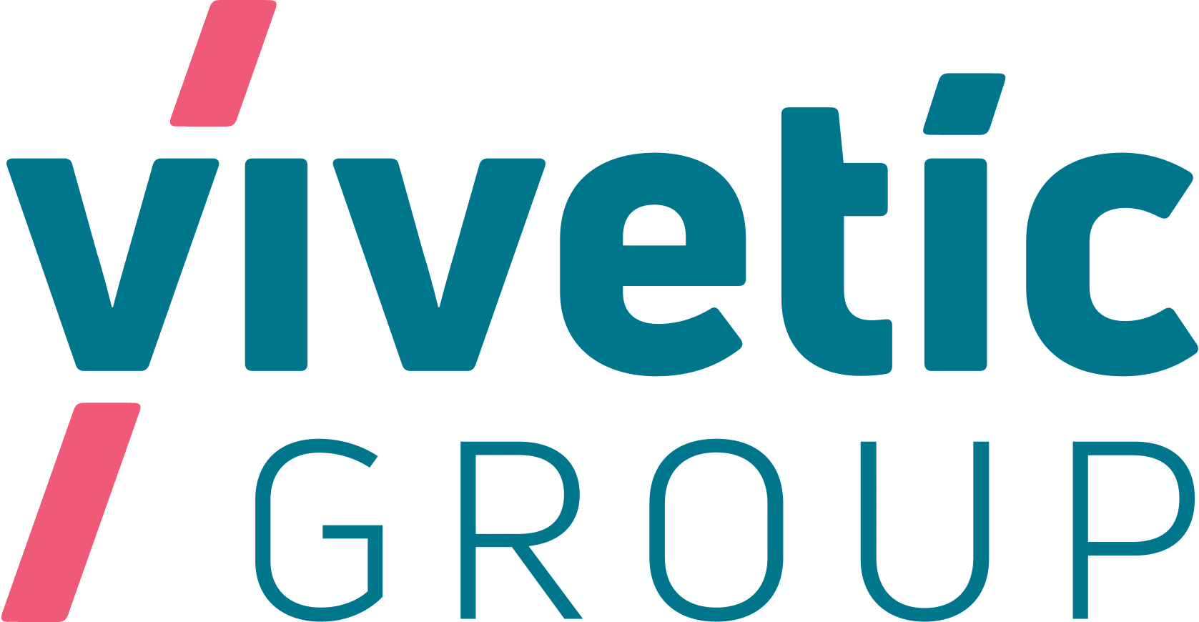 Logo Vivetic Group Logo Vivetic Group